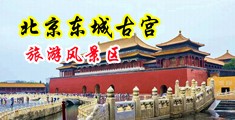 黄片使劲插A中国北京-东城古宫旅游风景区